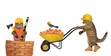 İnşaat kaskı takmış bej bir kedi müteahhiti kırmızı tuğlalarla dolu bir el arabasını itiyor. Beyaz arka plan. İzole edilmiş.