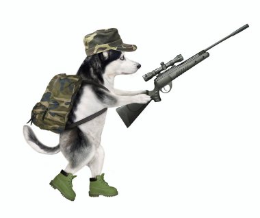 Askeri üniformalı bir köpek, optik görüşlü bir tüfekle yürüyor. Beyaz arka plan. İzole edilmiş.