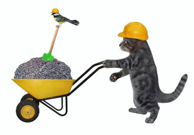İnşaat kaskı takmış gri bir kedi müteahhiti ezilmiş taşla dolu bir el arabasını itiyor. Beyaz arka plan. İzole edilmiş.