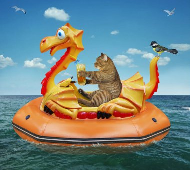 Elinde bir bardak meyve suyu olan bej bir kedi bir tatil köyünde denizde şişme bir ejderhanın üzerinde yüzüyor..