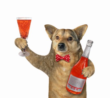 Bej renkli bir köpek bir şişe kırmızı şarap ve bir bardak dolusu şarap tutar. Beyaz arka plan. İzole edilmiş.