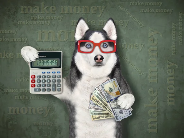Ein Geschäftsmann Mit Brille Hält Einen Taschenrechner Und Einen Dollarfan — Stockfoto