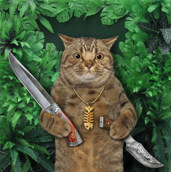 一个米色的猫猎人在树林里拿着猎刀 — 图库照片