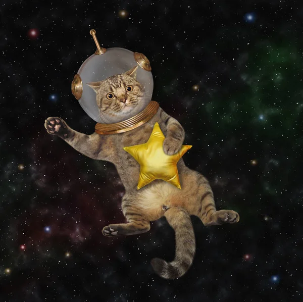 Beige Cat Astronaut Wearing Space Suit Golden Star Outer Space — Foto Stock