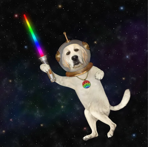 Dog Labrador Astronaut Wearing Space Suit Glowing Sword Outer Space — Foto Stock