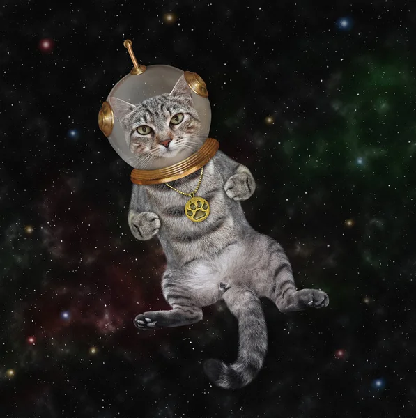 Серый Кот Астронавт Космическом Костюме Космосе — стоковое фото