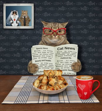 Elinde gazete olan gözlüklü bej bir kedi evde yemek yiyor..