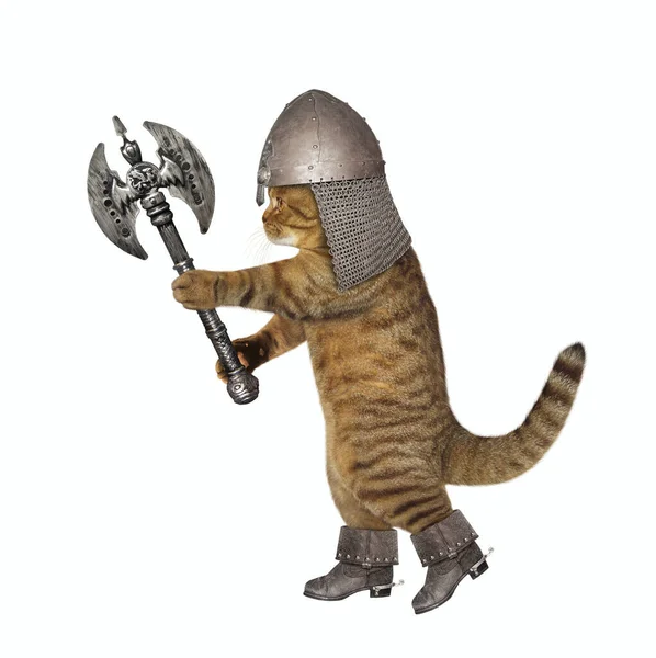 Een Beige Kat Een Ridderhelm Gewapend Met Een Strijdbijl Witte — Stockfoto