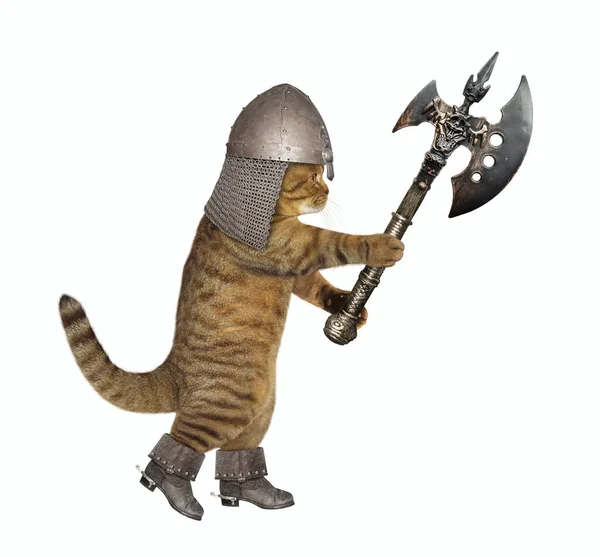Beige Cat Knight Helmet Armed Battle Axe Attacks White Background — Stock Photo, Image