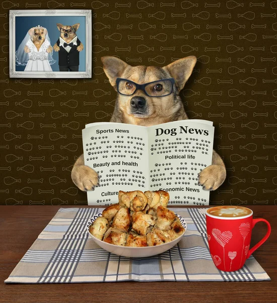 Beige Dog Glasses Newspaper Having Dinner Home — Stock Photo, Image