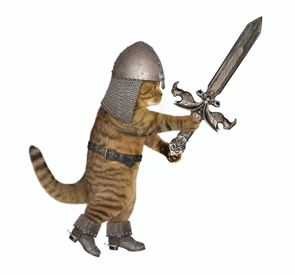 Eine Beige Katze Einem Ritterhelm Bewaffnet Mit Einem Schlachtschwert Greift — Stockfoto