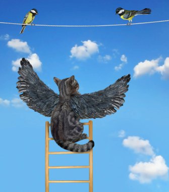 Kuş kanatlı gri bir kedi ipte oturan kuşları avlar. Gökyüzü arkaplanı.