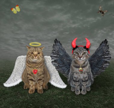 Bej bir kedi melek ve gri bir kedi şeytan çimenlerde birlikte oturuyorlar..