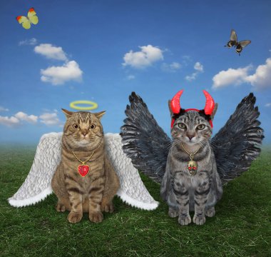 Bej bir kedi melek ve gri bir kedi şeytan çimenlerde birlikte oturuyorlar..