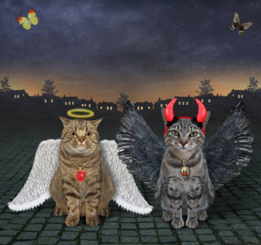 Bej bir kedi melek ve gri bir kedi şeytan gece meydanda birlikte oturuyorlar..