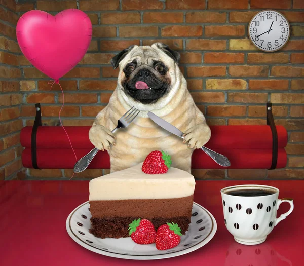 In the restaurant a dog pug with a knife and a fork is eating a layer chocolate cake and drinkig black coffee.
