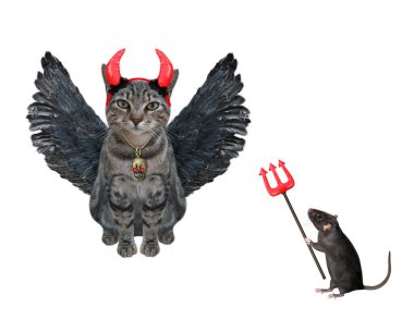 Kuş kanatları ve kırmızı boynuzları olan gri bir kedi şeytan mızrağı olan bir farenin yanında. Beyaz arka plan. İzole edilmiş.