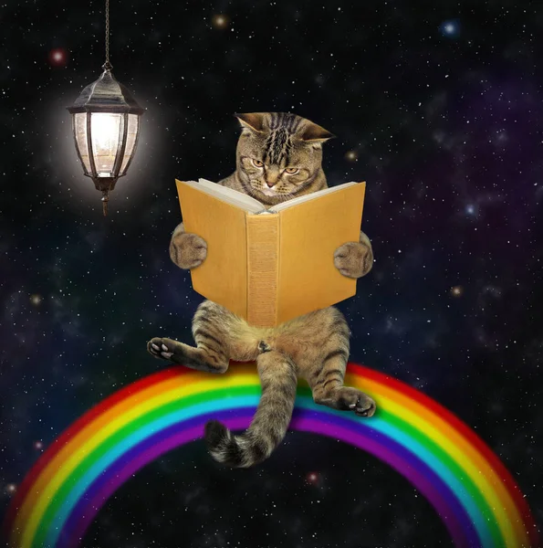 A beige cat in glasses sits on the rainbow and reads a yellow book. Starry sky background.