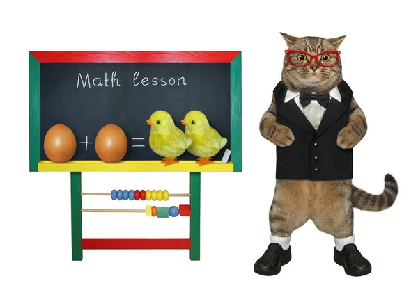 Beige Katt Nära Skola Styrelse Med Rolig Matematik Ekvation Vit — Stockfoto