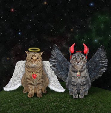 Bej bir kedi melek ve gri bir kedi şeytan gece çimenlerde birlikte oturuyorlar..