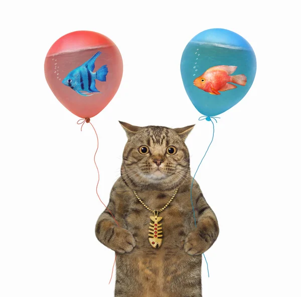 Beige Katt Håller Ballonger Med Vatten Inuti Dem Finns Akvariefiskar — Stockfoto