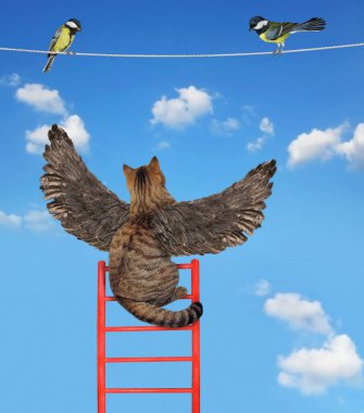 Kuş kanatlı bej bir kedi ipte oturan kuşları avlar. Gökyüzü arkaplanı.