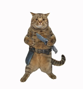 Bej bir kedi katlanan bıçakla silahlıdır. Beyaz arka plan. İzole edilmiş.