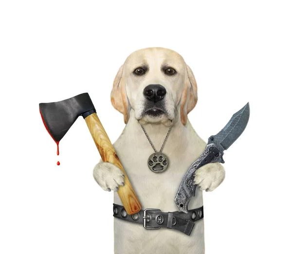 Dog Labrador Holding Big Axe Folding Knife Halloween White Background — Stock Photo, Image