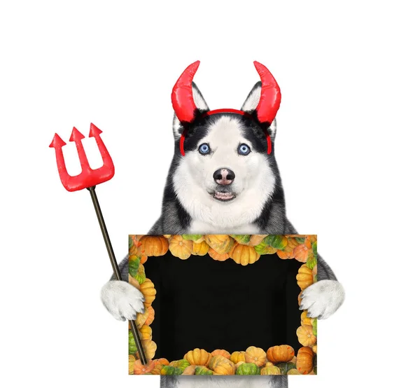 Cão Chifres Vermelhos Tem Tridente Diabo Cartaz Branco Preto Para — Fotografia de Stock