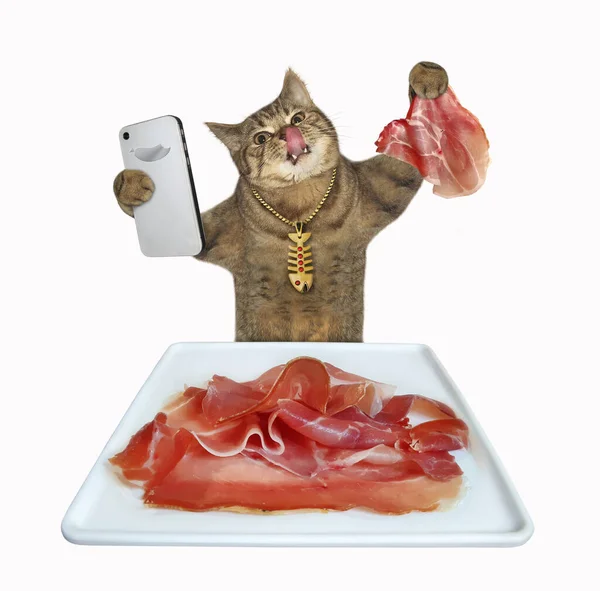 Gato Beige Con Teléfono Inteligente Está Comiendo Rebanadas Carne Plato — Foto de Stock