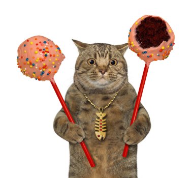 Bej renkli bir kedinin elinde pembe çikolatalı kek var. Beyaz arka plan. İzole edilmiş.