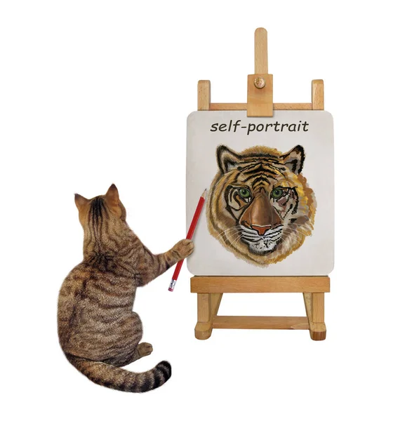 Ein Beiger Katzenkünstler Malt Mit Bleistift Sein Selbstporträt Auf Eine — Stockfoto