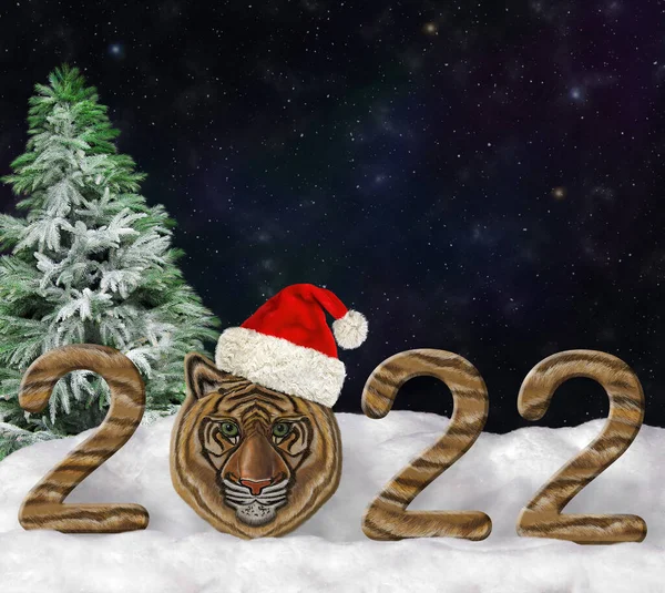 Hay Número 2022 Con Una Cabeza Tigre Lugar Cero Nieve — Foto de Stock