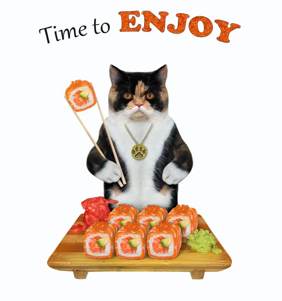 一只有色的猫正在用木盘里的筷子吃寿司 是时候享受了白色背景 被隔离了 — 图库照片