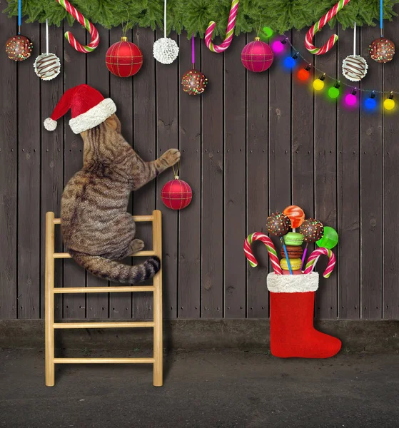 Beige Katt Jultomte Hatt Dekorerar Sitt Trästaket Till Jul — Stockfoto