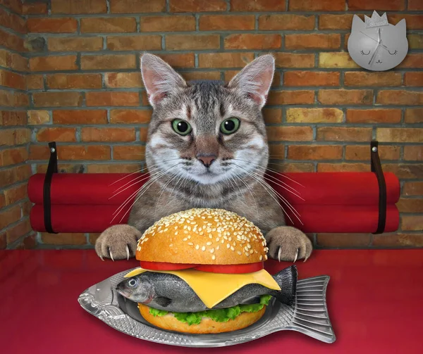 In the restaurant a gray cat is eating a raw fish burger at the table.