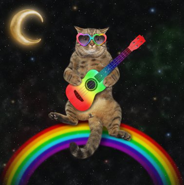 Güneş gözlüklü bej bir kedi gökkuşağında oturuyor ve geceleri akustik gitar çalıyor.. 