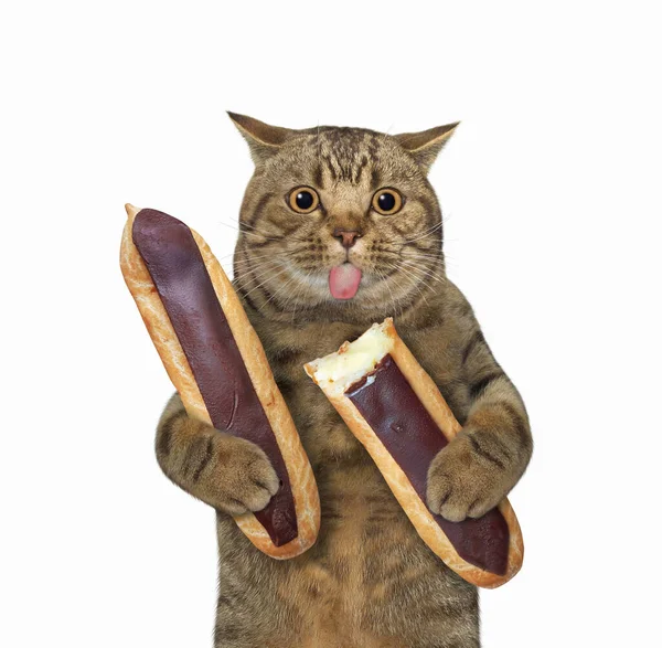 Een Beige Kat Eet Chocolade Eclairs Witte Achtergrond Geïsoleerd — Stockfoto