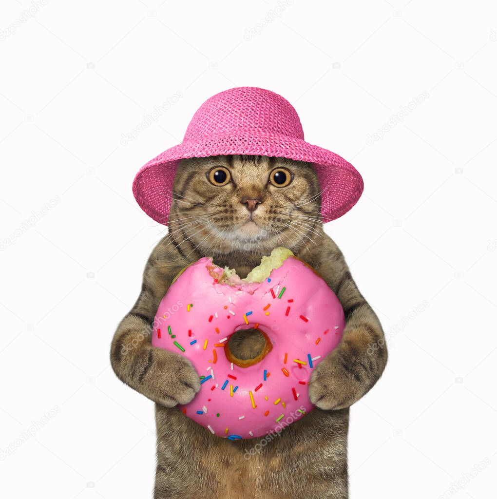 A beige cat in straw hat eats a pink donut. White background. Isolated.