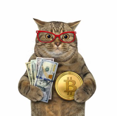 Gözlüklü bej bir kedi dolar ve altın bir bitcoin tutuyor. Beyaz arka plan. İzole edilmiş.
