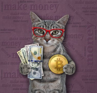 Gözlüklü gri bir kedi dolar ve altın bir bitcoin tutuyor. Para kazan. Leylak arkaplan.