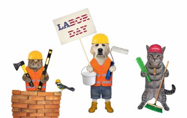 İnşaat aletleriyle evcil hayvan üreticileri işçi gününü kutluyor. Beyaz arka plan. İzole edilmiş.