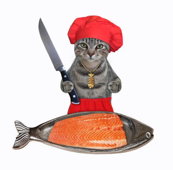 Gato Cinza Chapéu Chef Vermelho Está Cortando Salmão Uma Placa — Fotografia de Stock