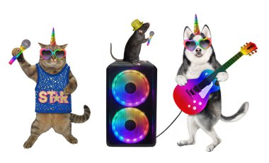 Bir Dogicorn Husky elektro gitar çalar ve bej bir Caticorn hoparlörün yanında şarkı söyler. Beyaz arka plan. İzole edilmiş.