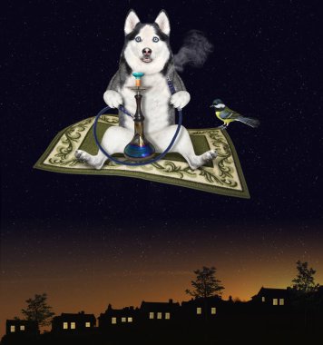 A dog husky is flying on a magic carpet and smoking a hookah at night. clipart
