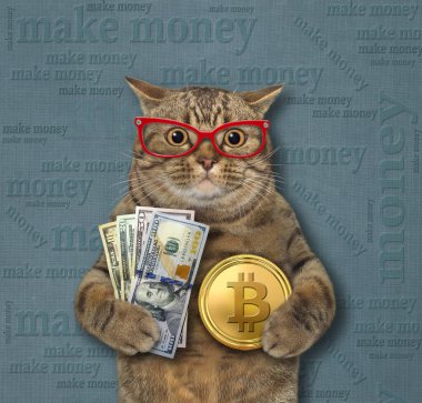 Gözlüklü bej bir kedi dolar ve altın bir bitcoin tutuyor. Para kazan. Yeşil arkaplan.