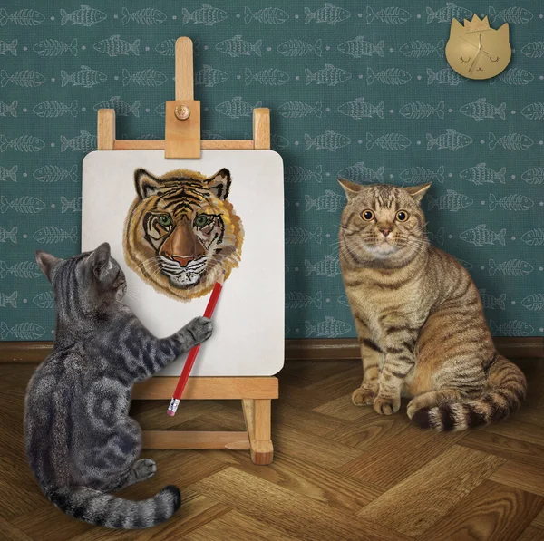 Ein Grauer Katzenkünstler Malt Mit Bleistift Ein Porträt Seines Kunden — Stockfoto