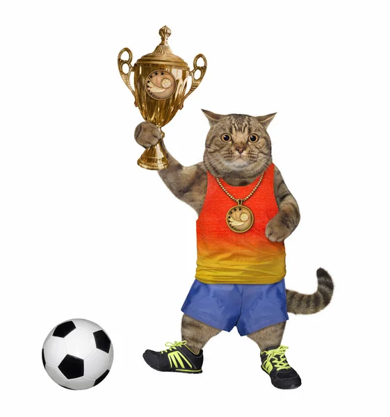 スポーツユニフォームを着たベージュの猫サッカー選手がサッカーボールの近くに金のカップを持っている 白地だ — ストック写真