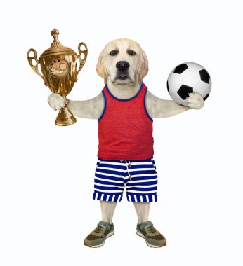 Spor üniformalı bir köpek labrador futbolcusu altın bir kupa ve futbol topu tutuyor. Beyaz arka plan. İzole edilmiş.