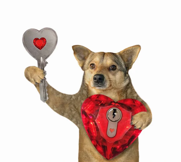 Ein Beiger Hund Hält Ein Rubinrotes Herzförmiges Schloss Und Einen — Stockfoto